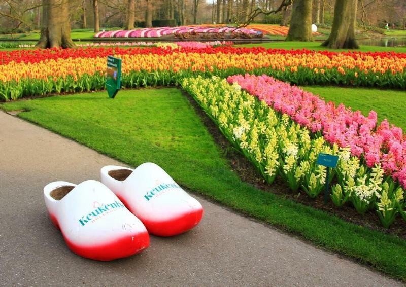 Grand Hotel Huis Ter Duin Нордвейк-ан-Зее Экстерьер фото Keukenhof
